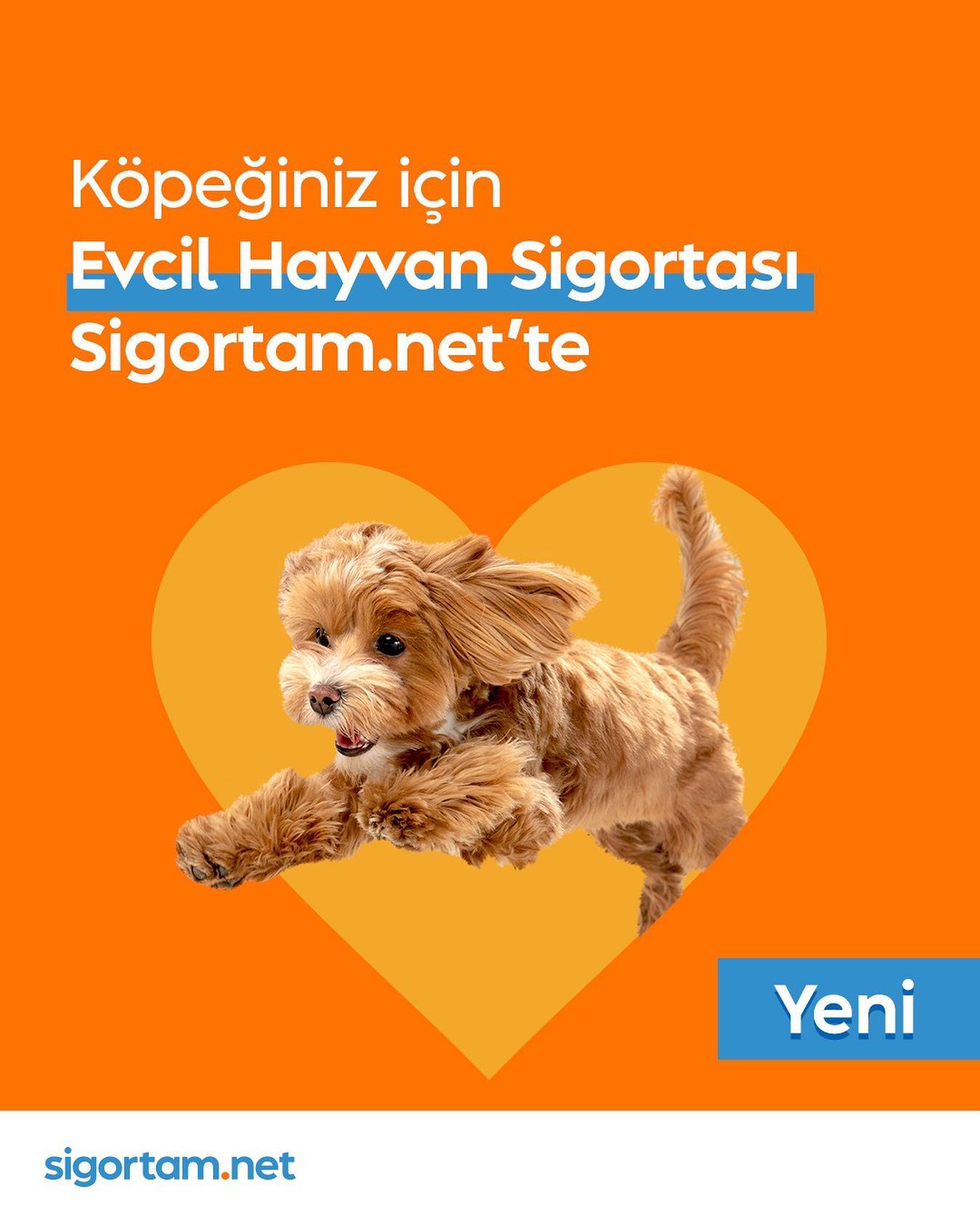 Sigortam