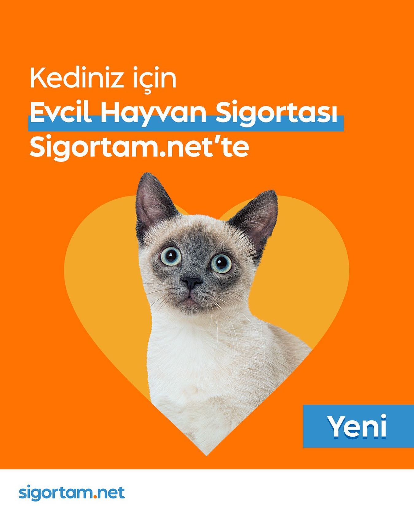 Sigortam