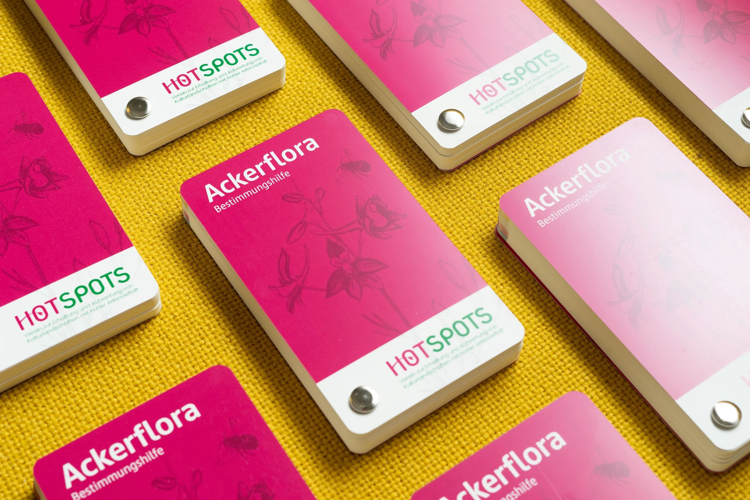 Ackerflora Species Guide